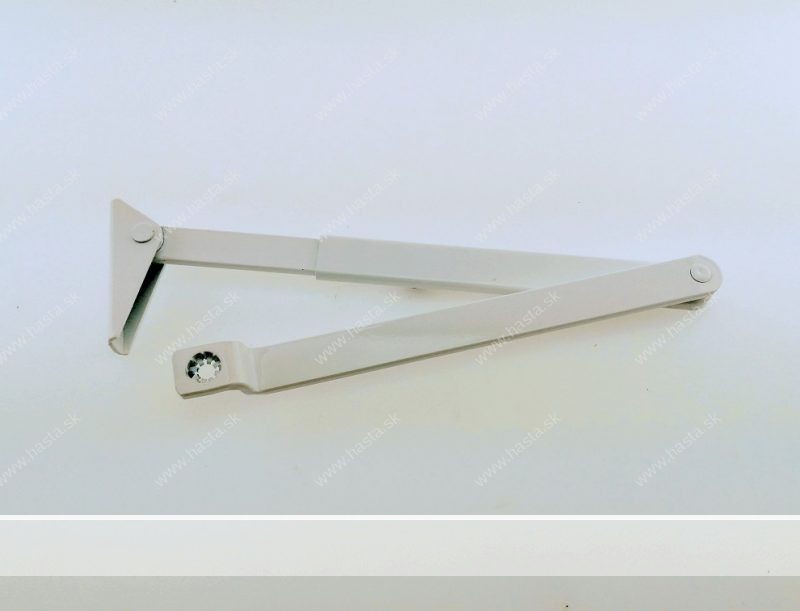 TS1500 RAMENO - BIELA - Image 2